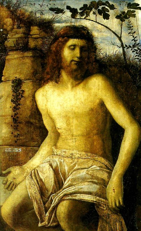 Giovanni Bellini den tornekronte kristus France oil painting art